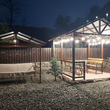 Konstantine'S Chalet バクリアニ エクステリア 写真