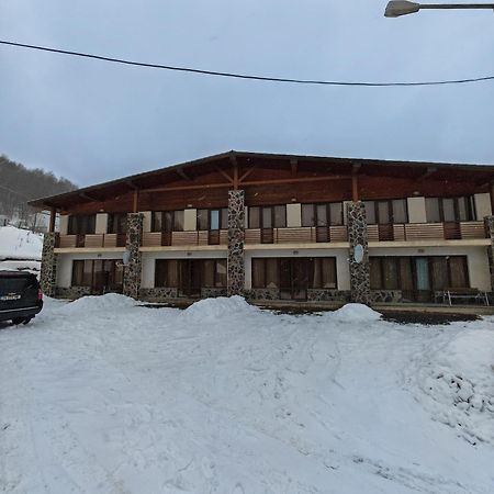 Konstantine'S Chalet バクリアニ エクステリア 写真