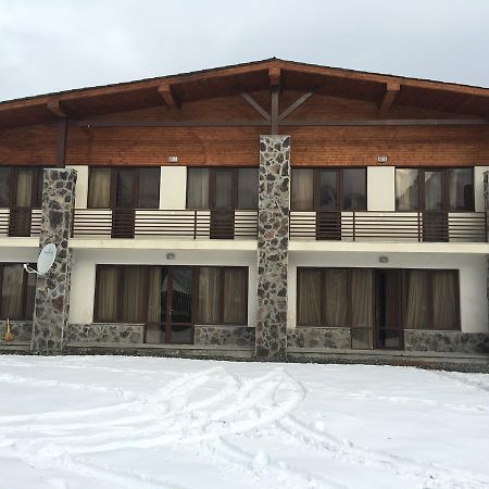 Konstantine'S Chalet バクリアニ エクステリア 写真