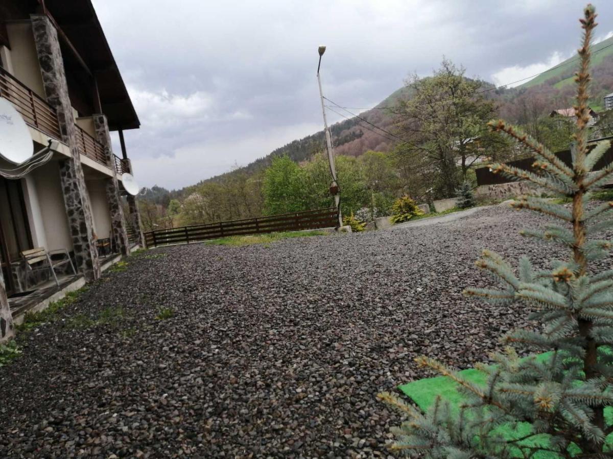 Konstantine'S Chalet バクリアニ エクステリア 写真