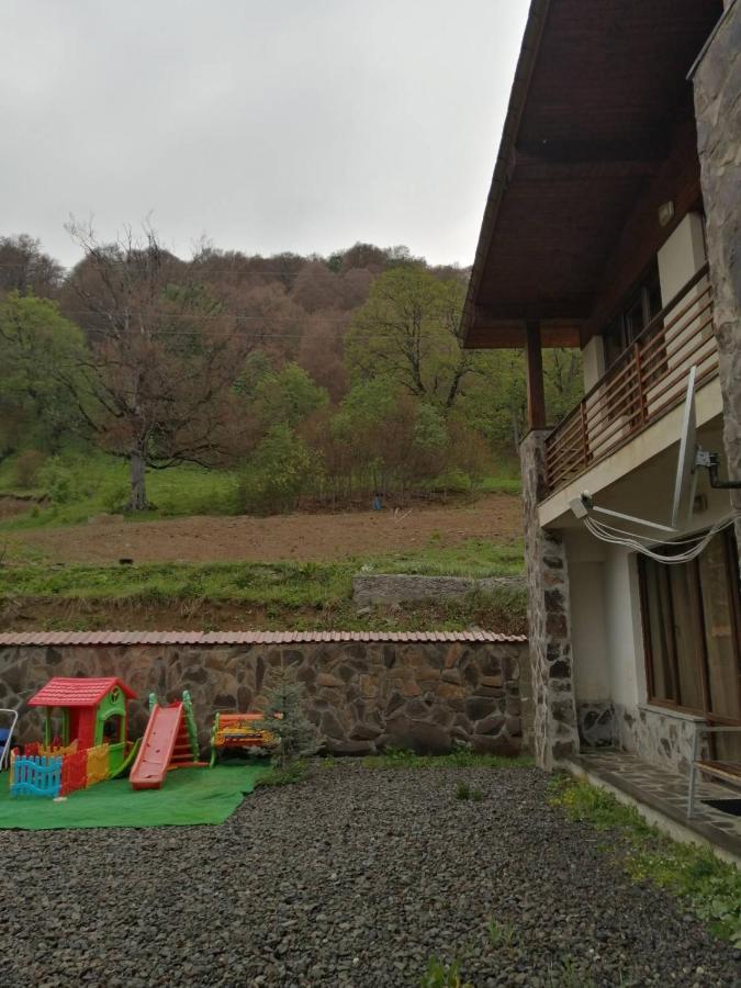 Konstantine'S Chalet バクリアニ エクステリア 写真