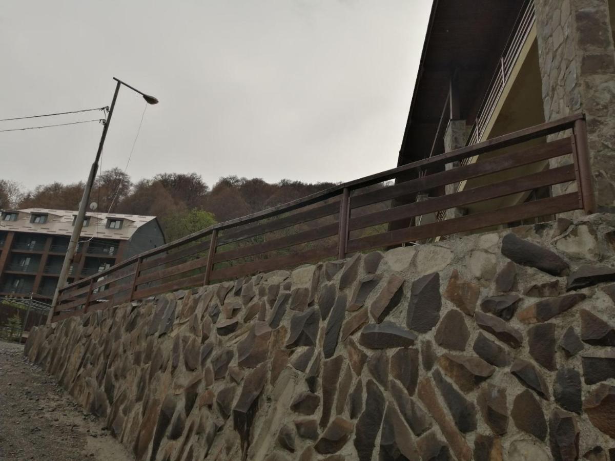 Konstantine'S Chalet バクリアニ エクステリア 写真