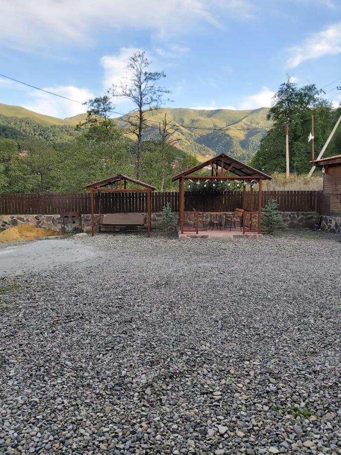 Konstantine'S Chalet バクリアニ エクステリア 写真