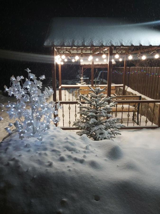 Konstantine'S Chalet バクリアニ エクステリア 写真