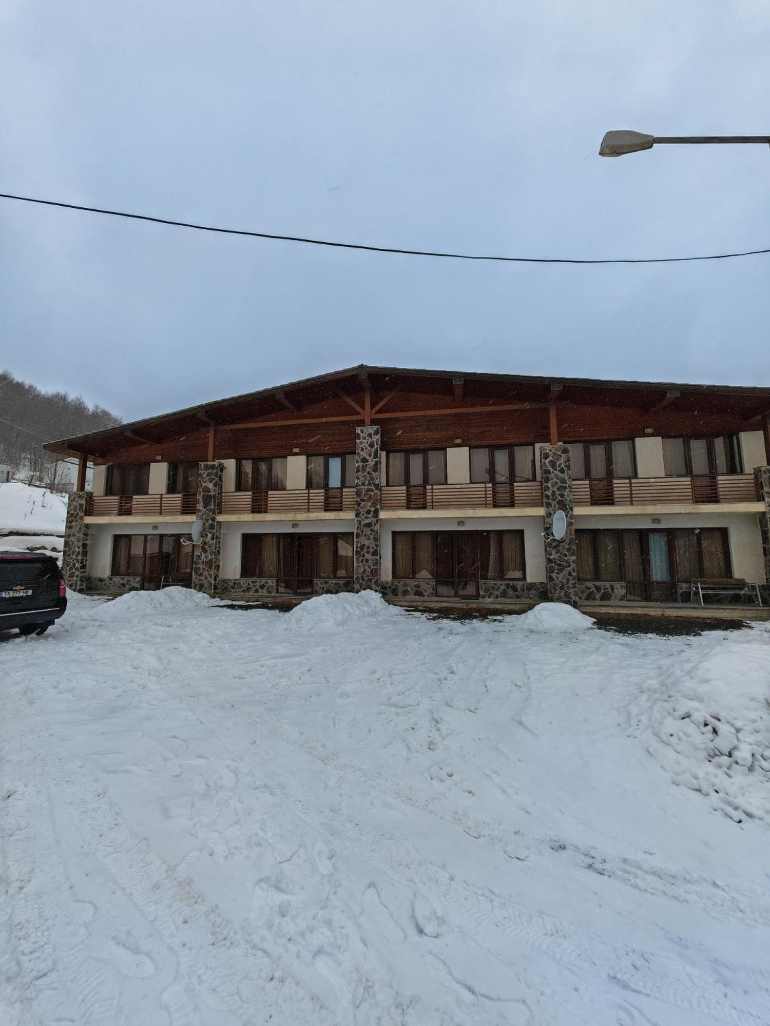 Konstantine'S Chalet バクリアニ エクステリア 写真