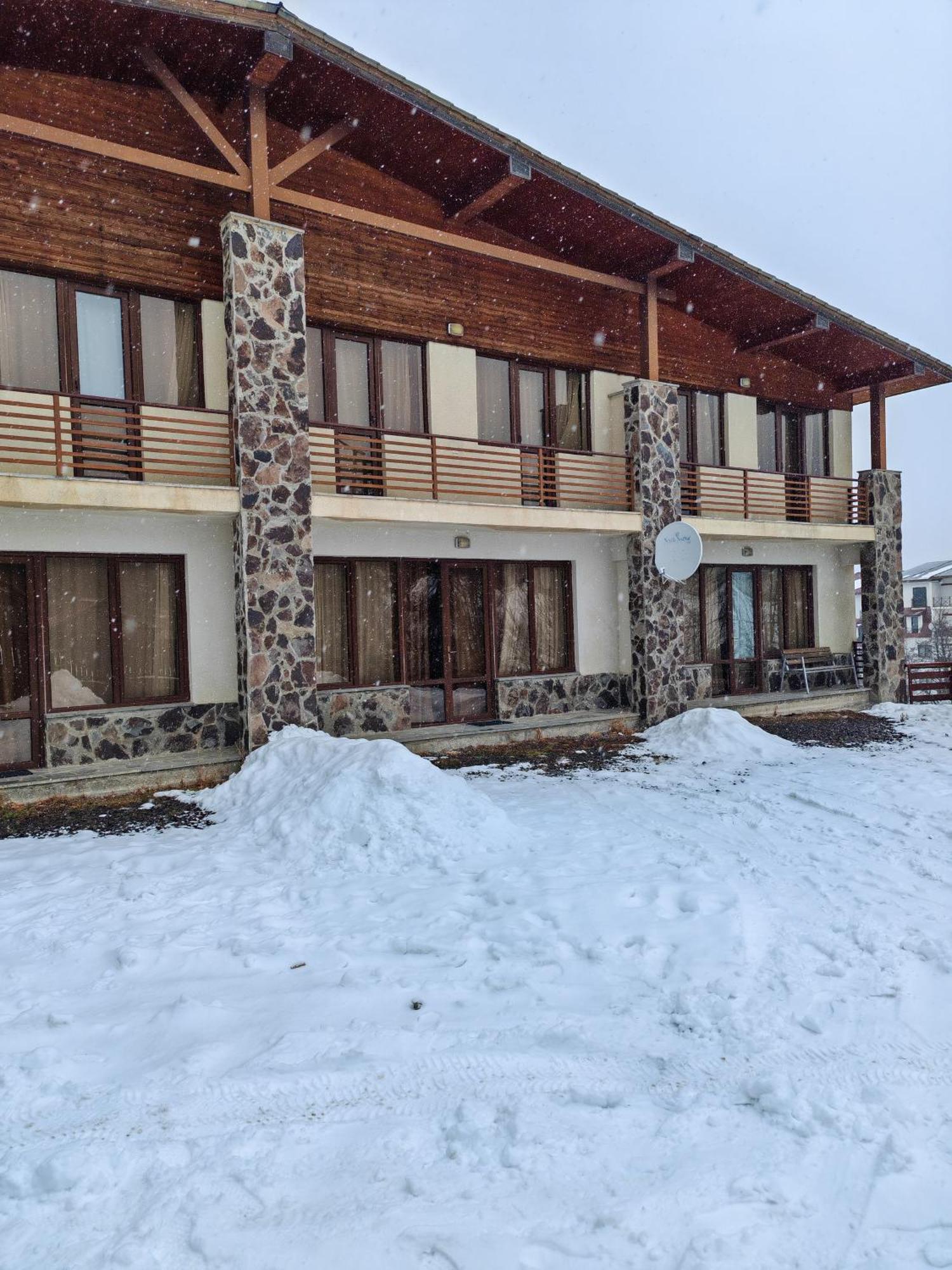 Konstantine'S Chalet バクリアニ エクステリア 写真
