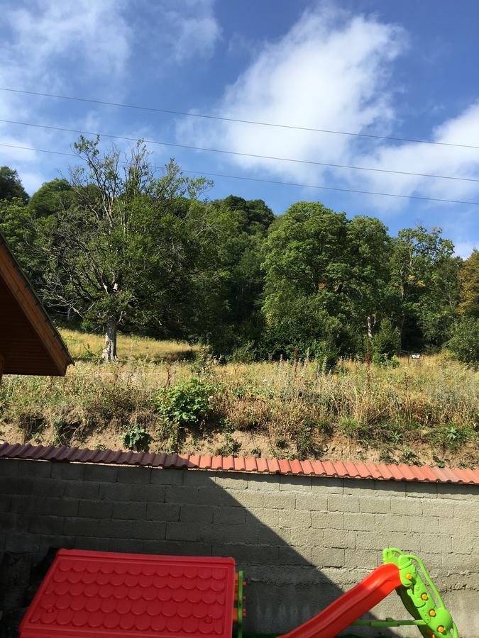 Konstantine'S Chalet バクリアニ エクステリア 写真