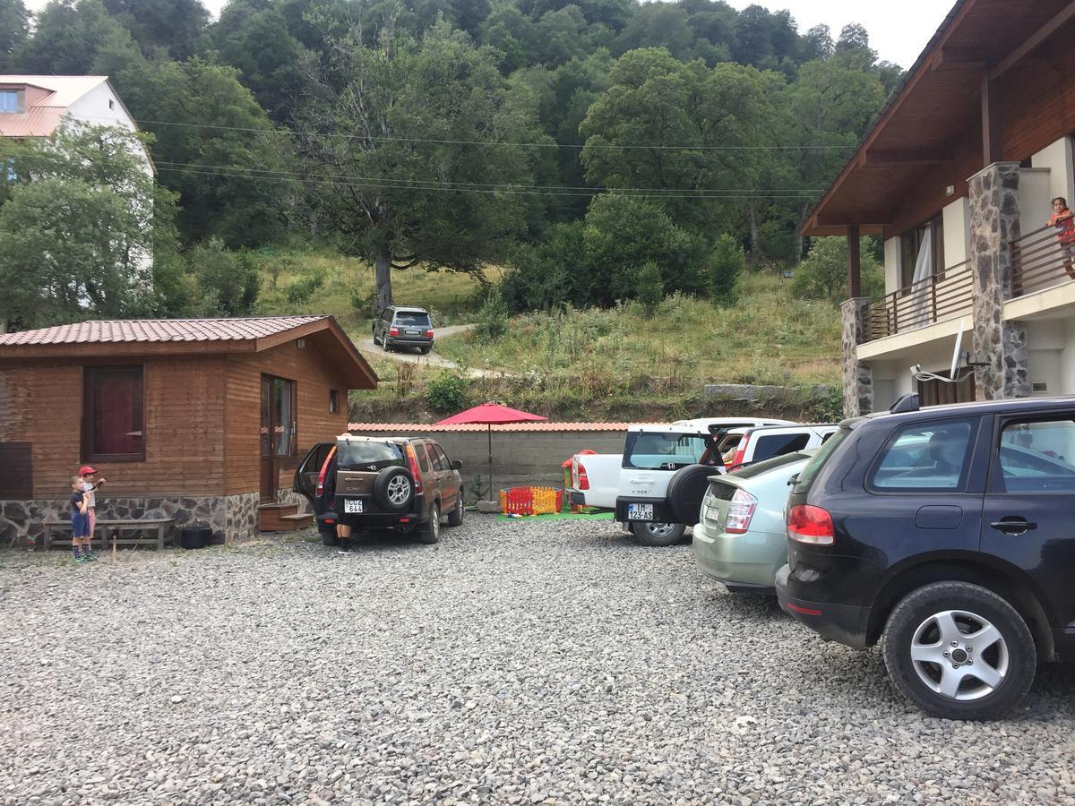 Konstantine'S Chalet バクリアニ エクステリア 写真
