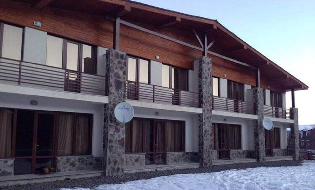 Konstantine'S Chalet バクリアニ エクステリア 写真