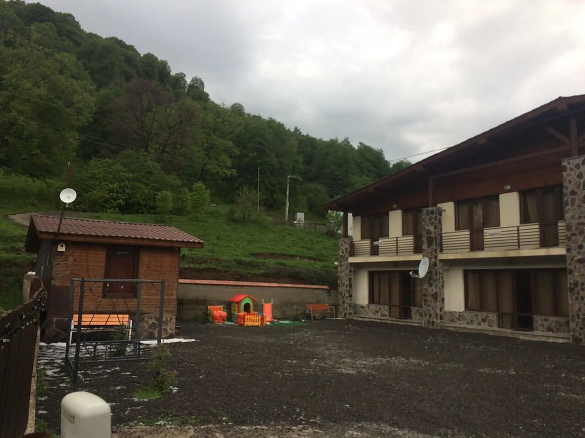 Konstantine'S Chalet バクリアニ エクステリア 写真
