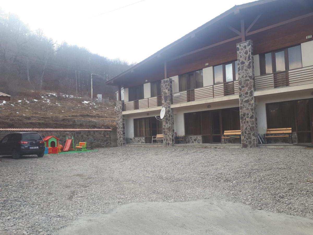 Konstantine'S Chalet バクリアニ エクステリア 写真